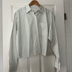 Cropped Striped Button-Up Shirt in Light Green and White